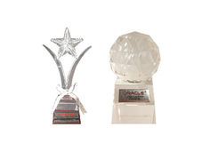 Oracle Award Global Customer Program 2008