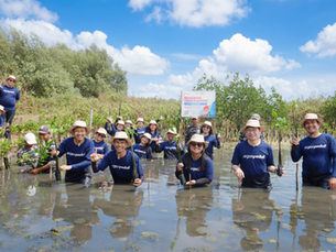 From 70 Million Walka-Walka Steps to 700 Mangrove Trees for Tangerang’s Coastal Protection